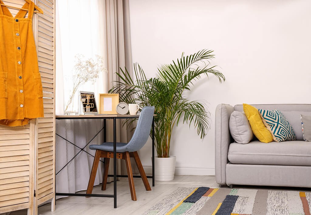 how to maximize space in a small apartment | Small apartment with student desk and couch