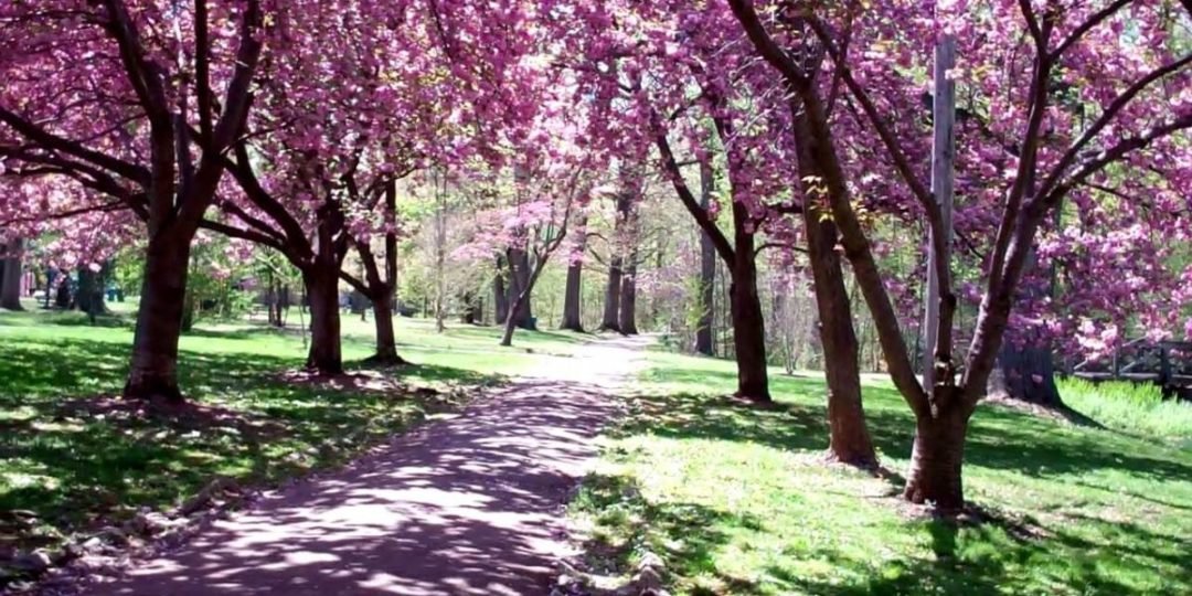 Top 5 Best Parks in West Chester PA | Presented by Zukin Realty