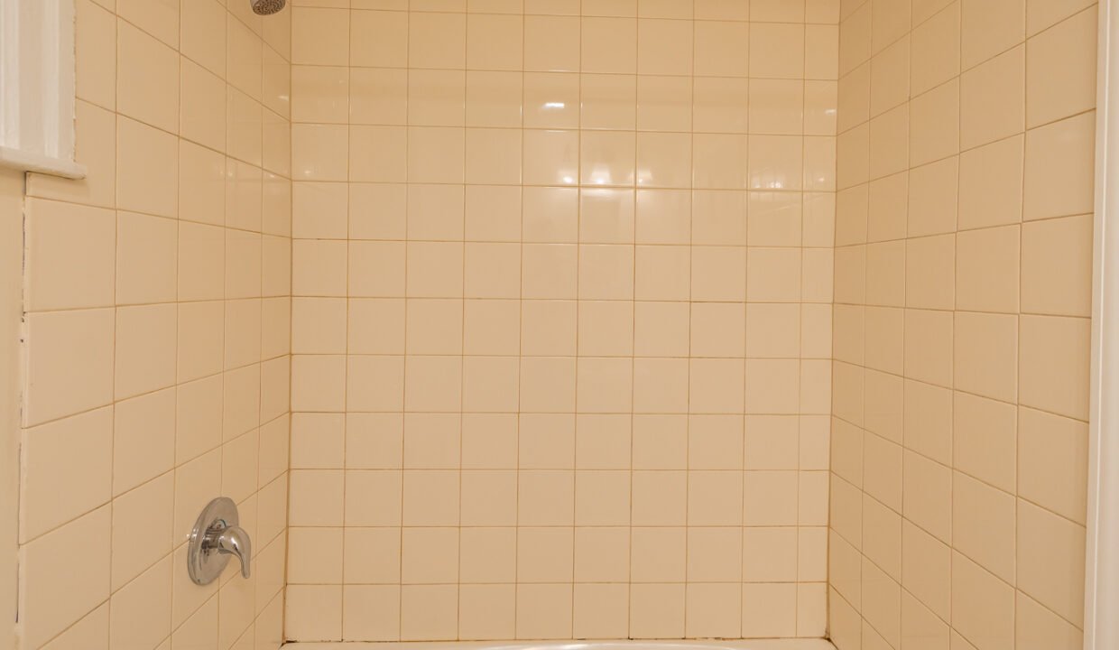 DSC08545