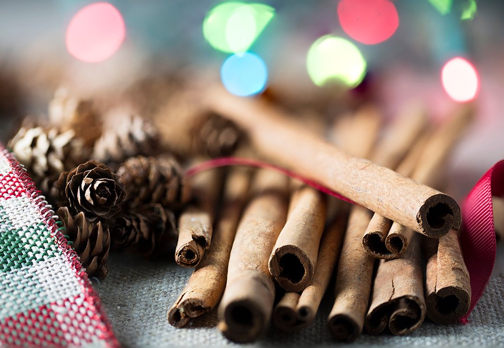 Cinnamon Sticks and Pine Cones lying on a plaid decorative towel