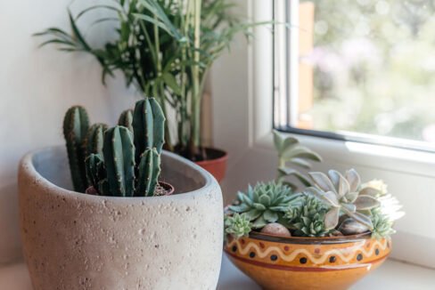 Apartment Indoor Gardening