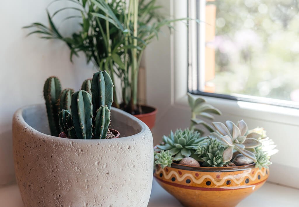 Apartment Indoor Gardening
